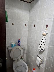 Hume Park I (D21), Condominium #483242171